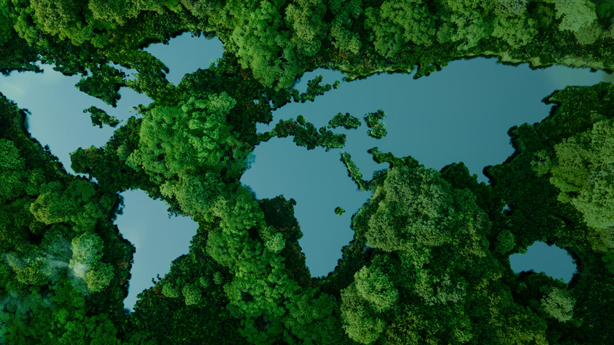 Aerial photo of a forest with lakes